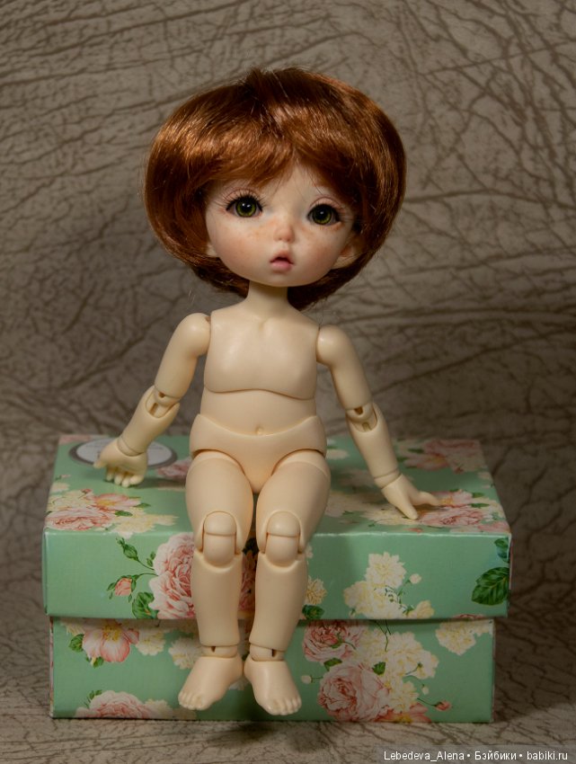 Любовь негаданно нагрянет или как у меня появился пукифи (фото 3)