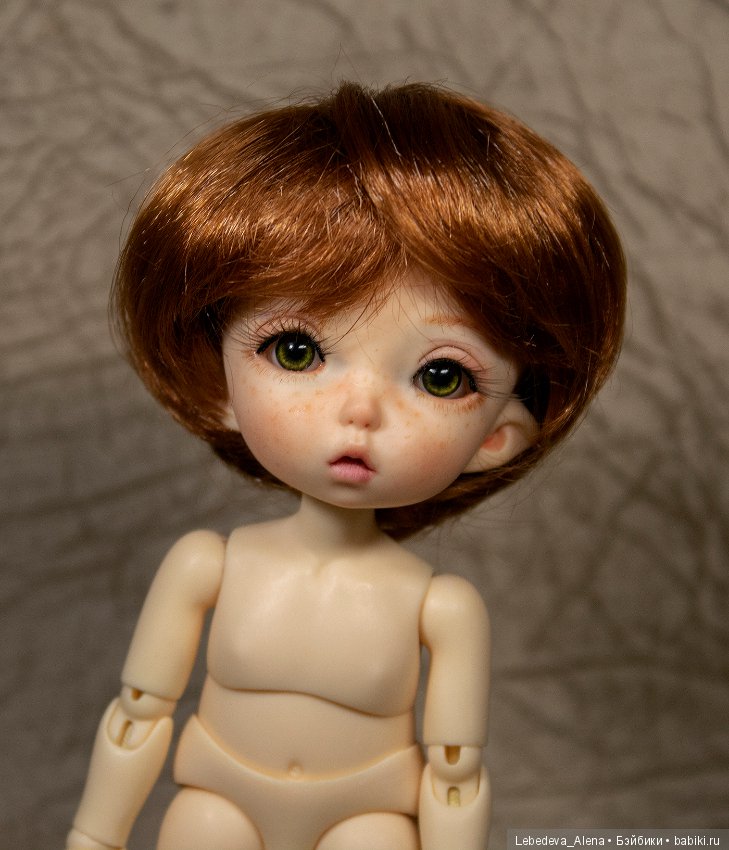 Любовь негаданно нагрянет или как у меня появился пукифи (фото 2)