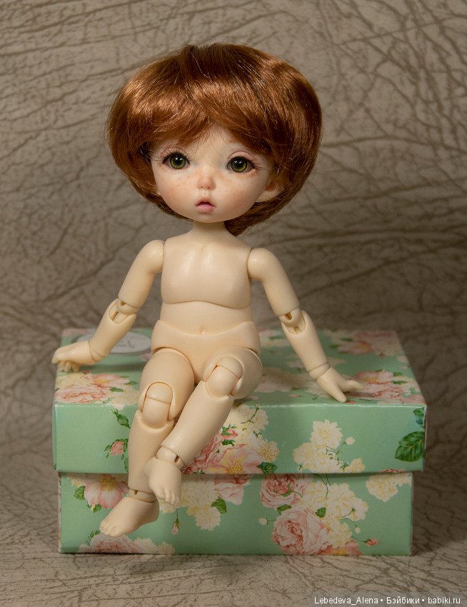 Любовь негаданно нагрянет или как у меня появился пукифи (фото 4)