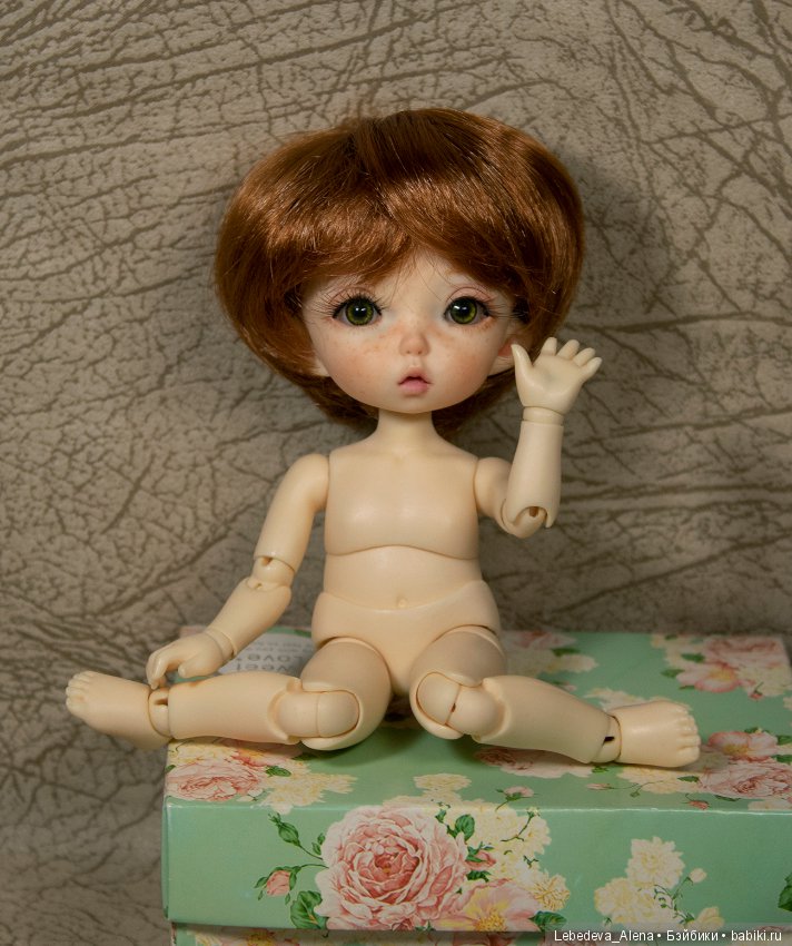 Любовь негаданно нагрянет или как у меня появился пукифи (фото 6)