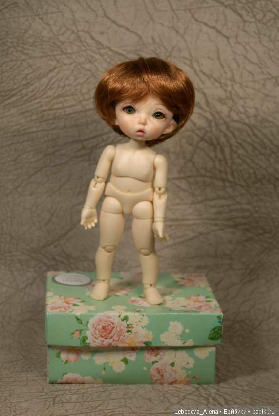 Любовь негаданно нагрянет или как у меня появился пукифи