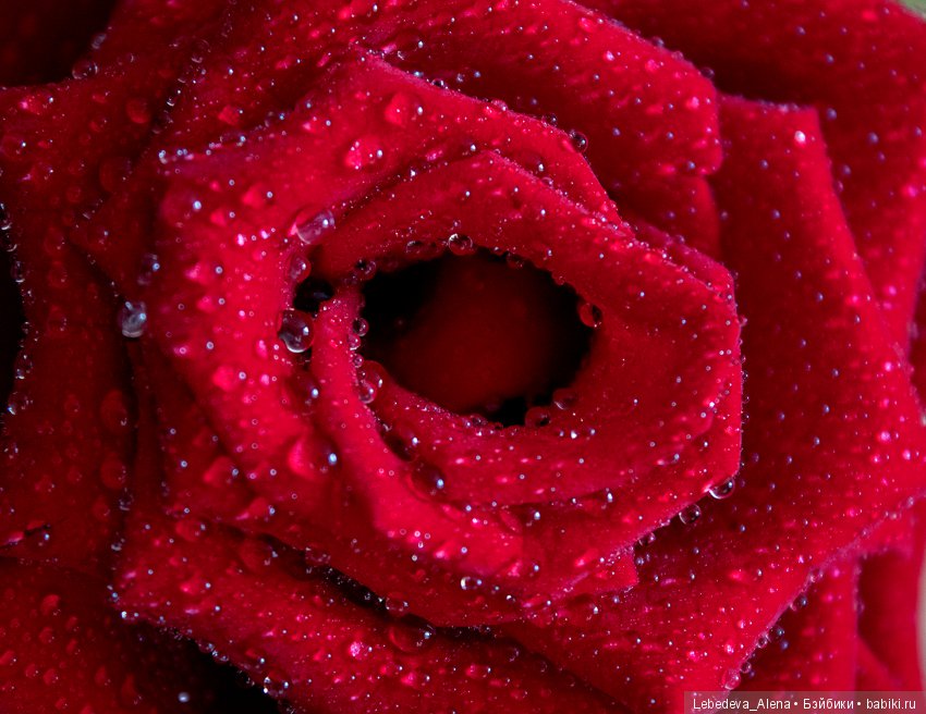 Как я отмечала день рождения (фото 2)