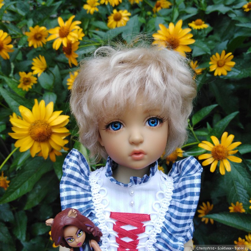 История одной девочки или сказка о гадком утенке. Iplehouse Naias (фото 6)