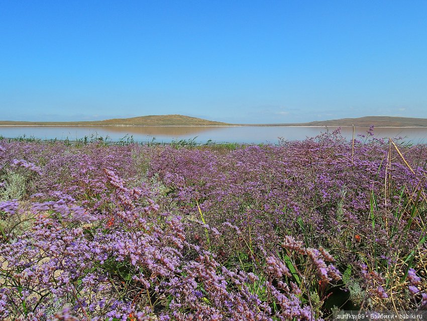 Немного моря вам в ленту — Туризм и путешествия: фотоотчеты из поездок