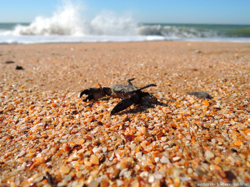 Немного моря вам в ленту — Туризм и путешествия: фотоотчеты из поездок (фото 9)