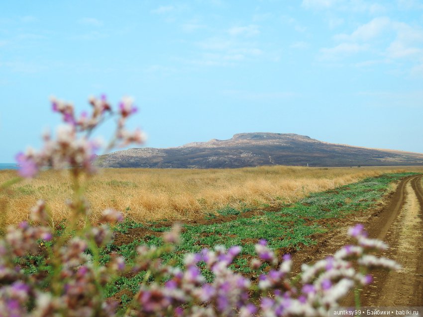 Немного моря вам в ленту — Туризм и путешествия: фотоотчеты из поездок