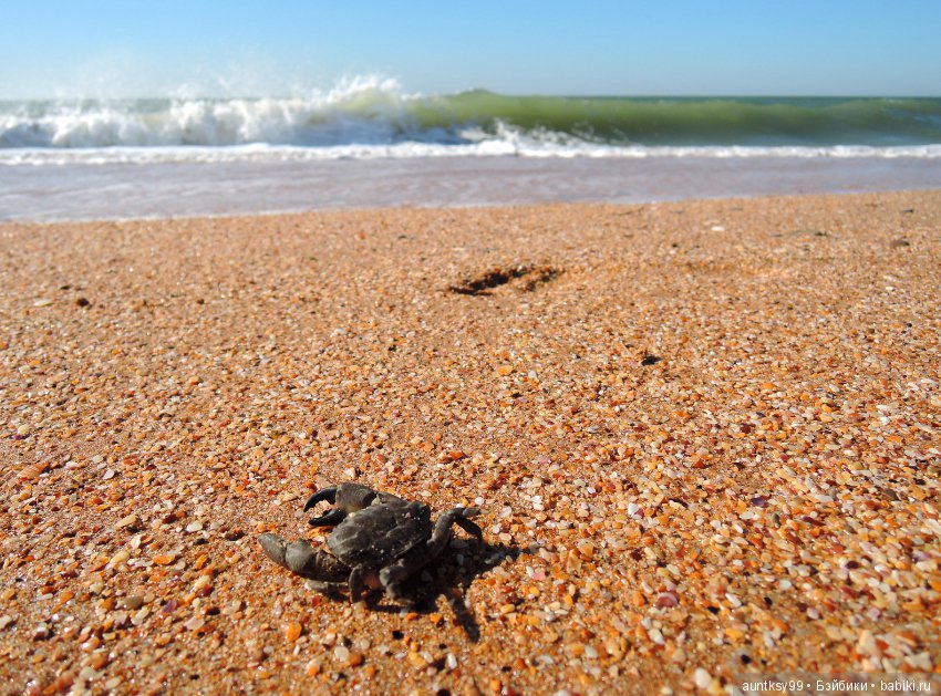 Немного моря вам в ленту — Туризм и путешествия: фотоотчеты из поездок (фото 8)