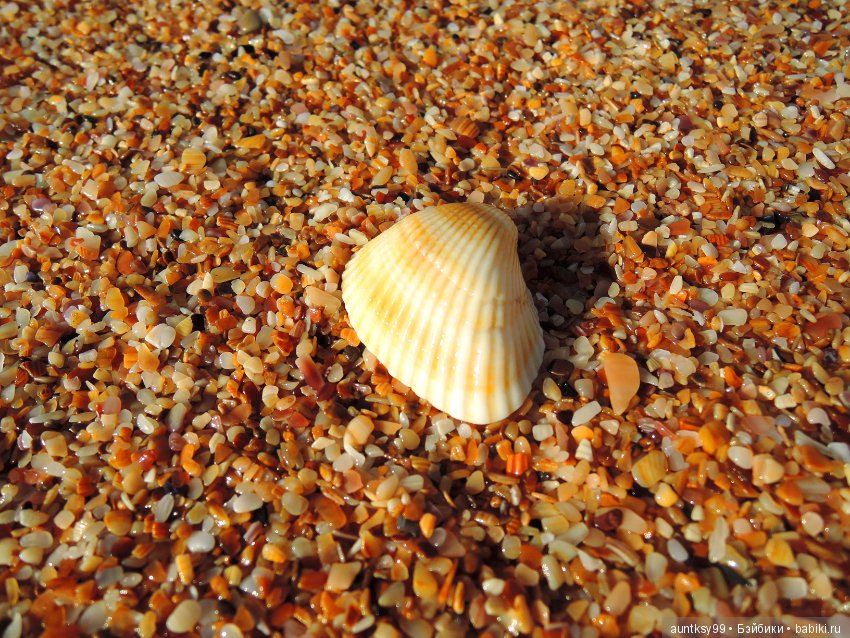 Немного моря вам в ленту — Туризм и путешествия: фотоотчеты из поездок