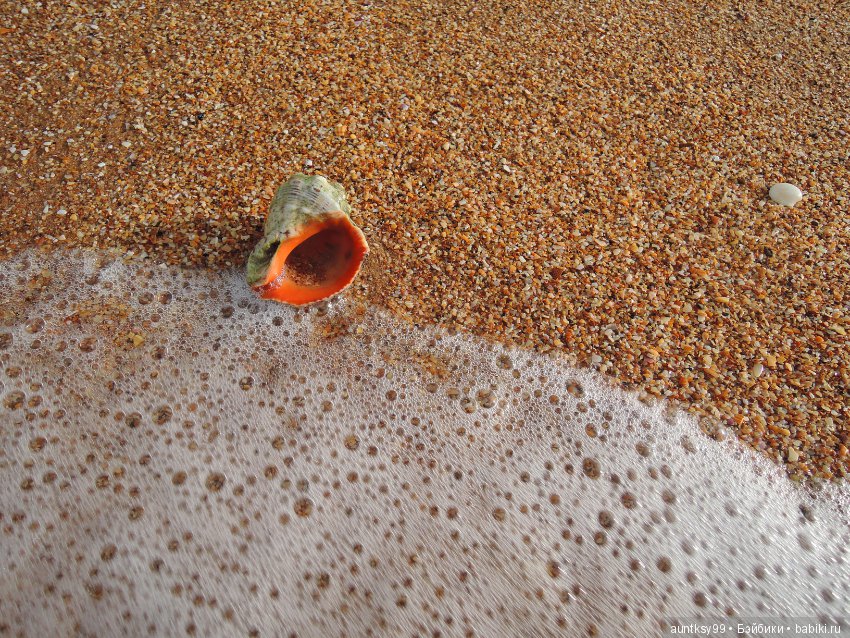 Немного моря вам в ленту — Туризм и путешествия: фотоотчеты из поездок