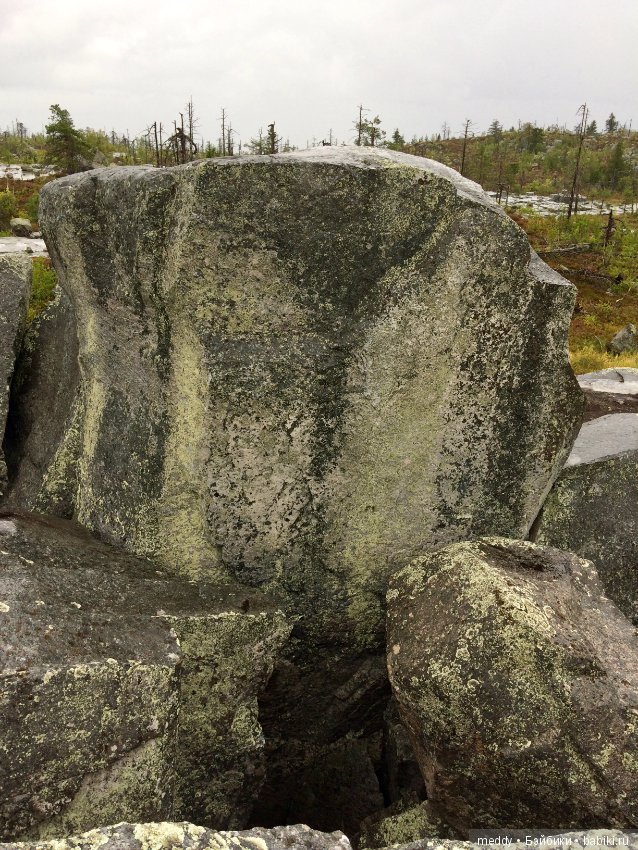 Путешественница Даки.. или поездка в Карелию