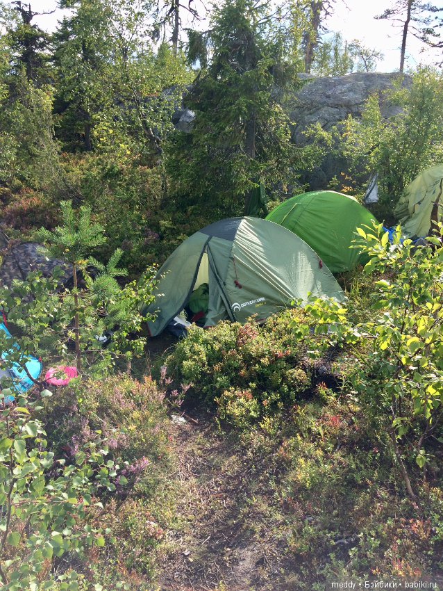 Путешественница Даки.. или поездка в Карелию