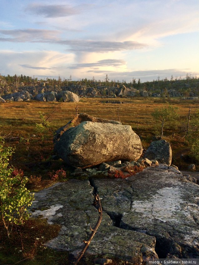 Путешественница Даки.. или поездка в Карелию (фото 5)