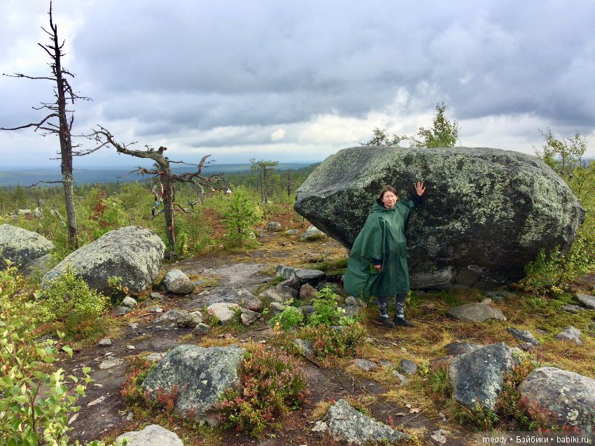 Путешественница Даки.. или поездка в Карелию