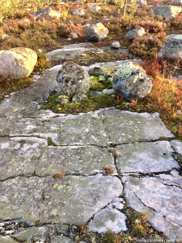 Путешественница Даки.. или поездка в Карелию (фото 6)