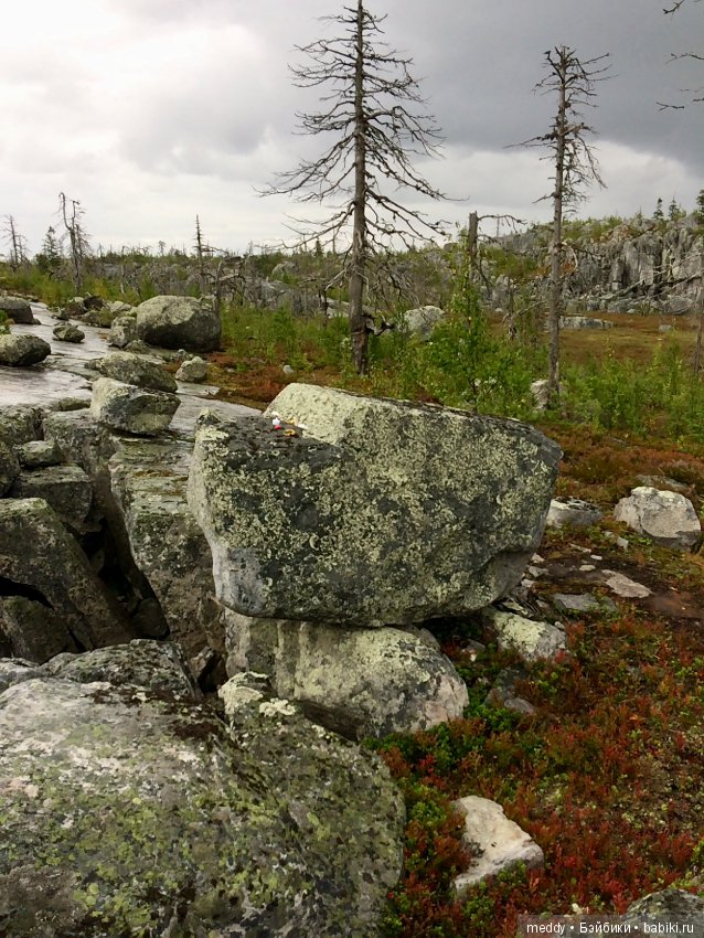 Путешественница Даки.. или поездка в Карелию