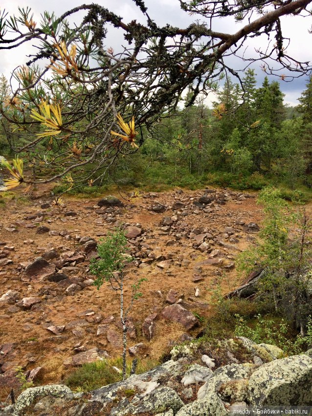 Путешественница Даки.. или поездка в Карелию