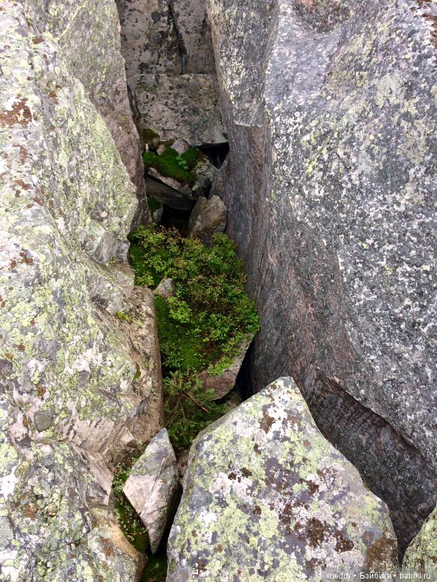 Путешественница Даки.. или поездка в Карелию
