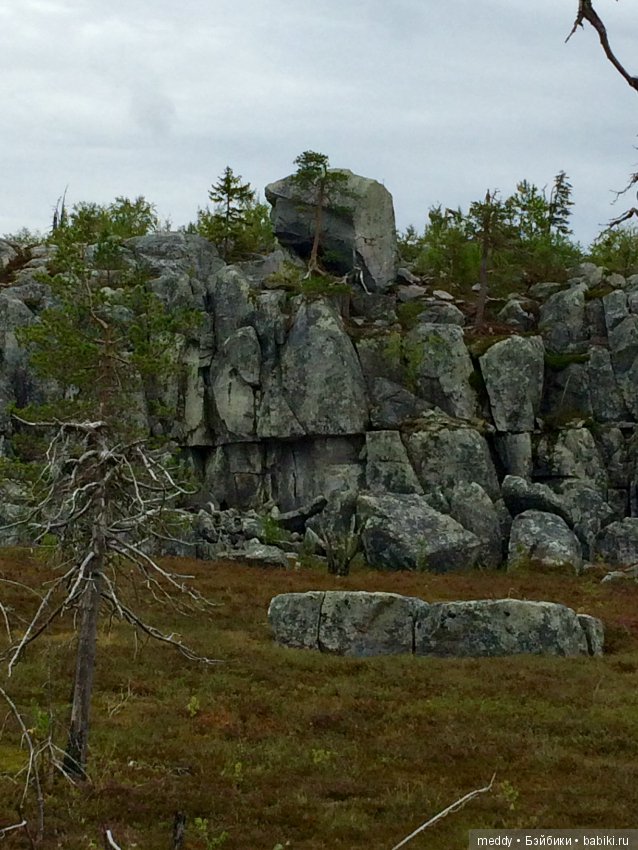 Путешественница Даки.. или поездка в Карелию