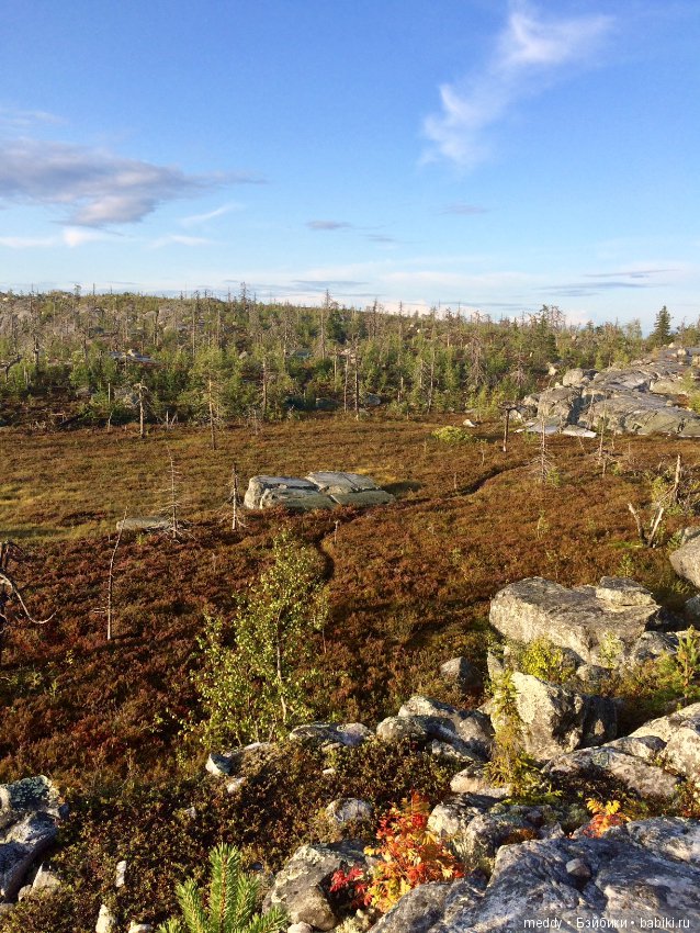 Путешественница Даки.. или поездка в Карелию (фото 2)