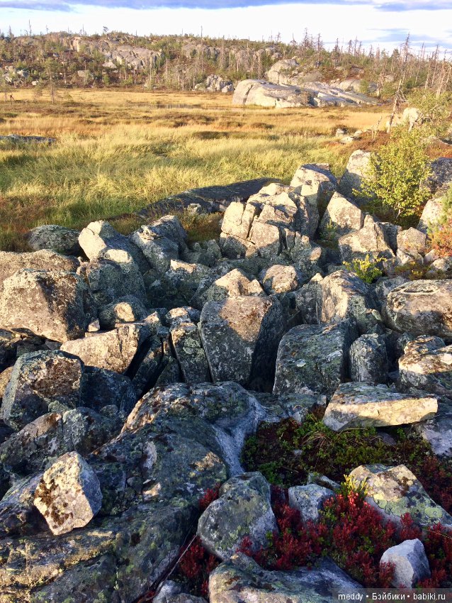Путешественница Даки.. или поездка в Карелию