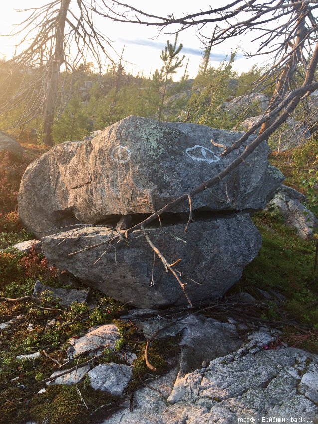 Путешественница Даки.. или поездка в Карелию (фото 7)