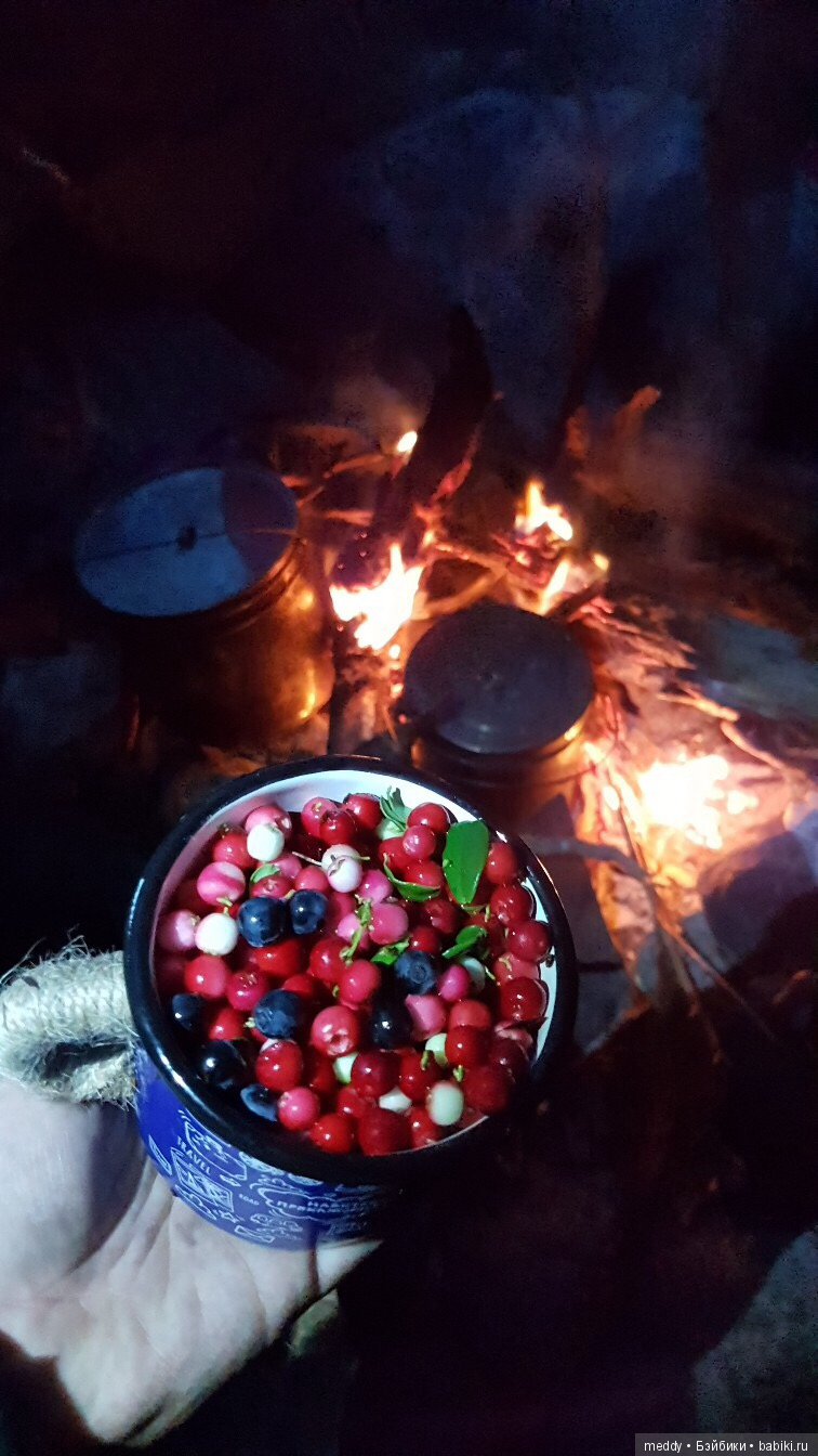 Путешественница Даки.. или поездка в Карелию