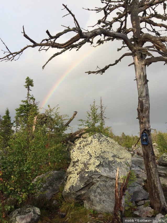 Путешественница Даки.. или поездка в Карелию