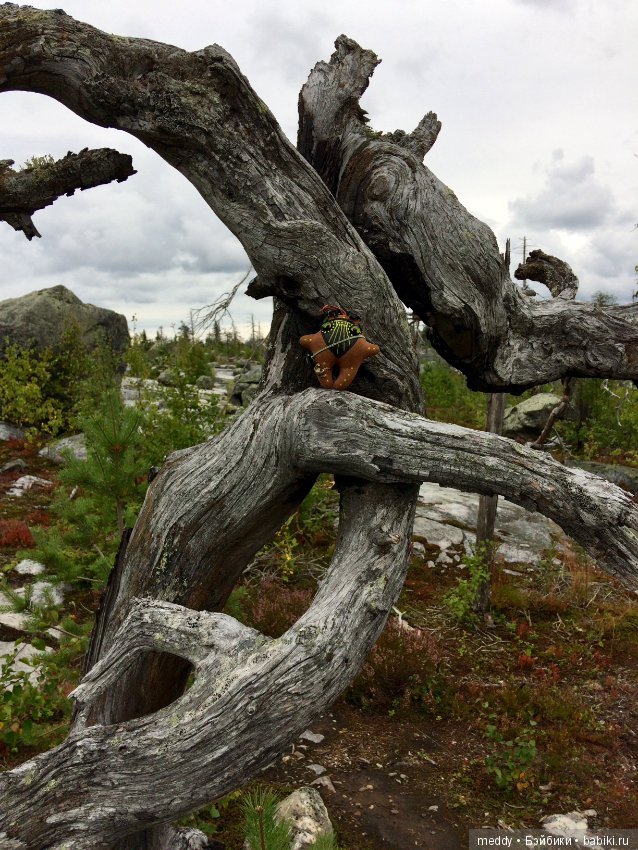 Путешественница Даки.. или поездка в Карелию