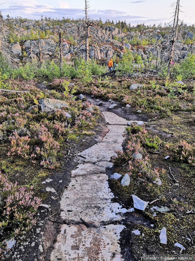 Путешественница Даки.. или поездка в Карелию