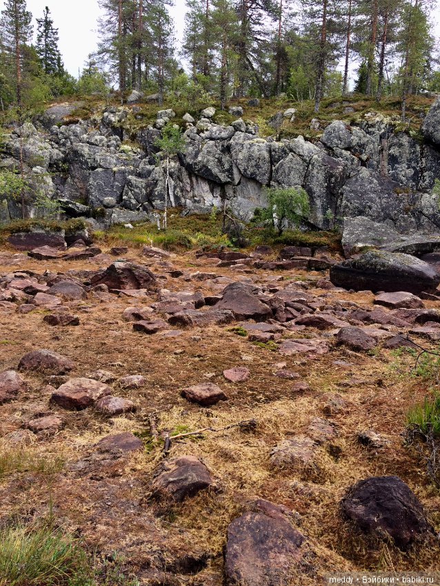 Путешественница Даки.. или поездка в Карелию