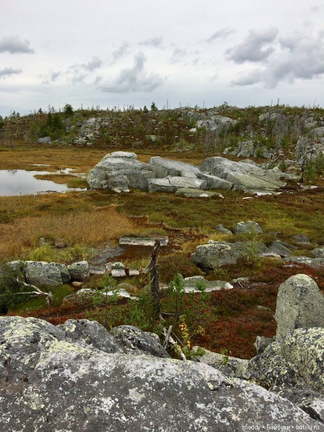 Путешественница Даки.. или поездка в Карелию