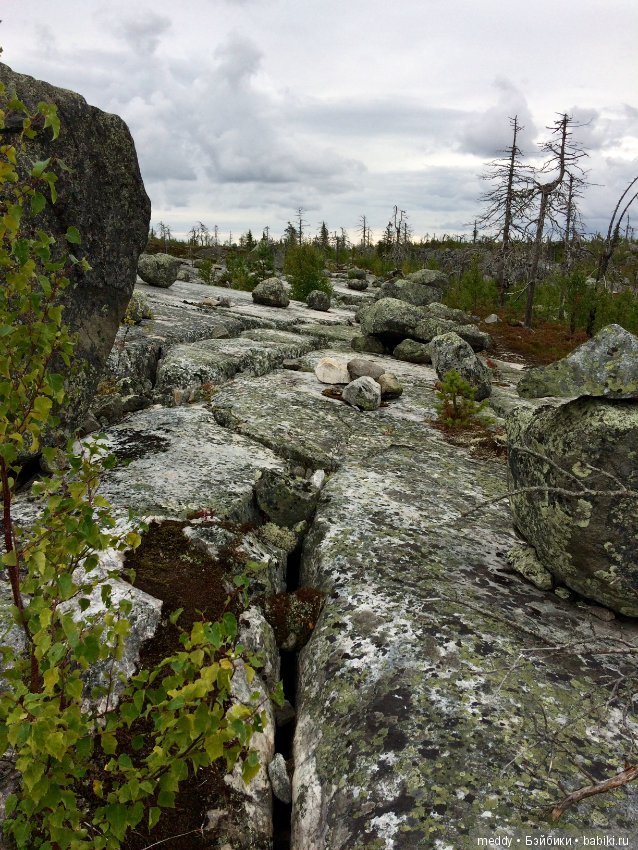 Путешественница Даки.. или поездка в Карелию