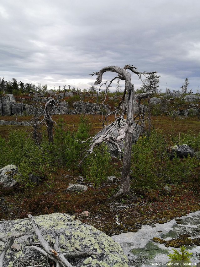 Путешественница Даки.. или поездка в Карелию