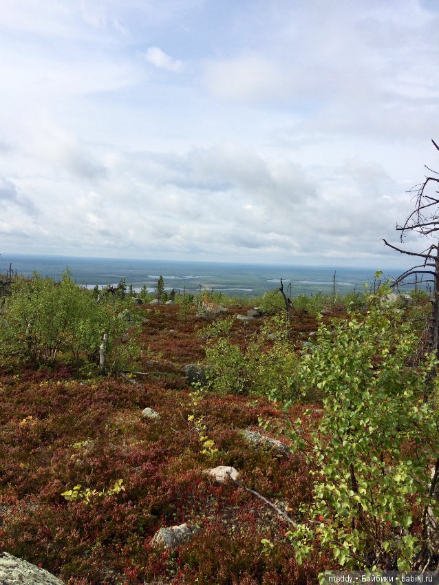 Путешественница Даки.. или поездка в Карелию