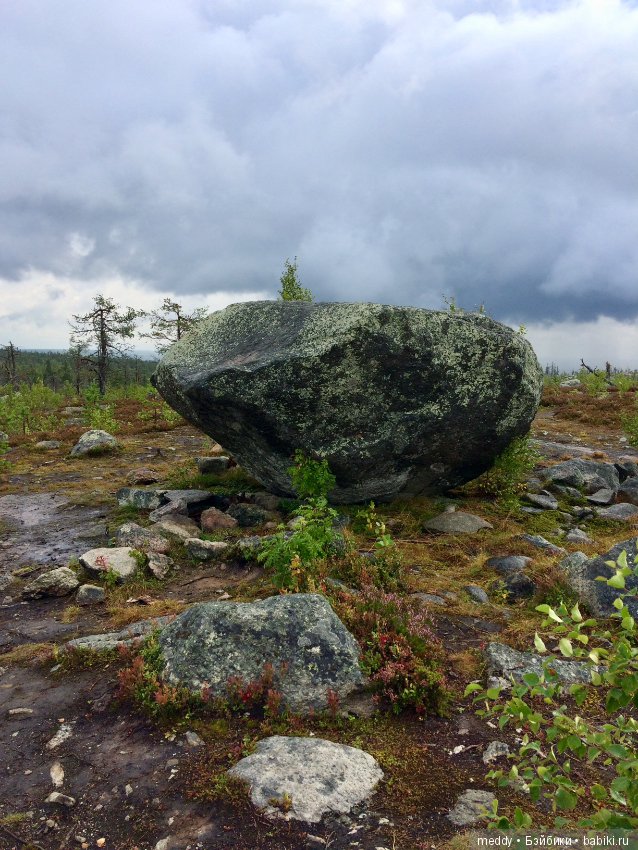 Путешественница Даки.. или поездка в Карелию