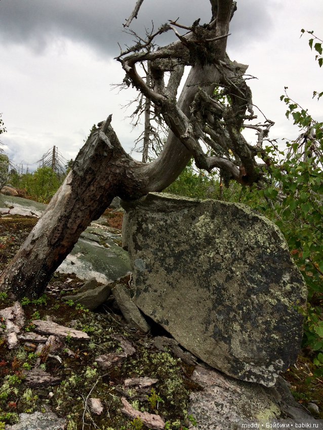 Путешественница Даки.. или поездка в Карелию