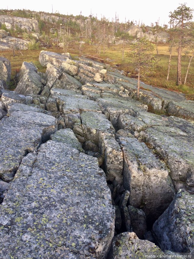 Путешественница Даки.. или поездка в Карелию (фото 4)