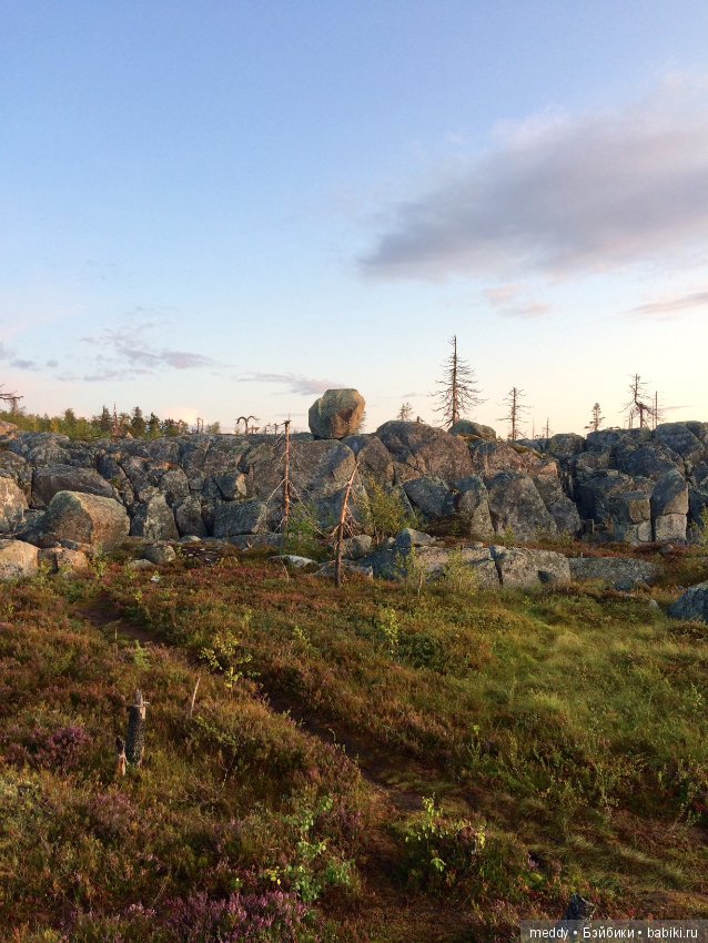 Путешественница Даки.. или поездка в Карелию (фото 9)