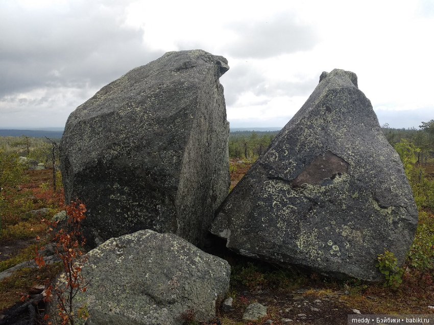 Путешественница Даки.. или поездка в Карелию