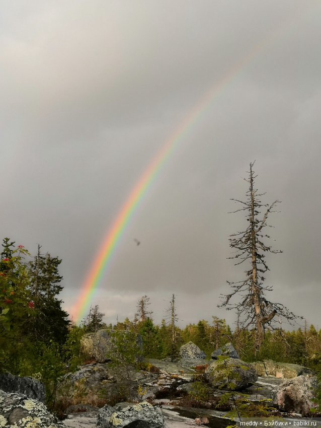 Путешественница Даки.. или поездка в Карелию