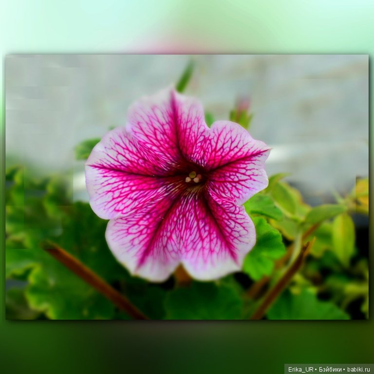 Сопутствующее куклам увлечение, 07.09.2019 (фото 10)