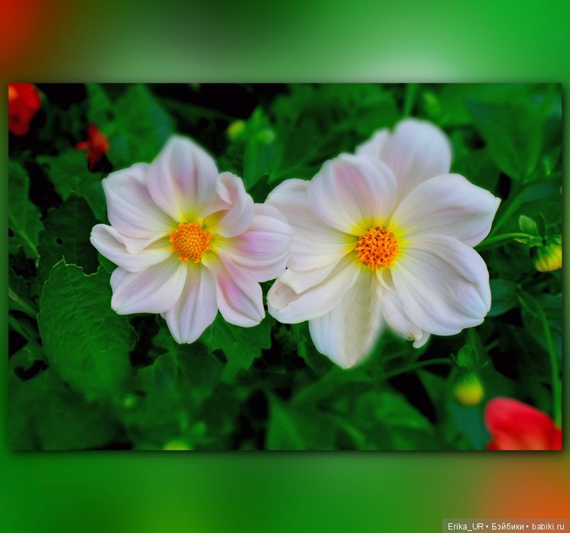 Сопутствующее куклам увлечение, 07.09.2019