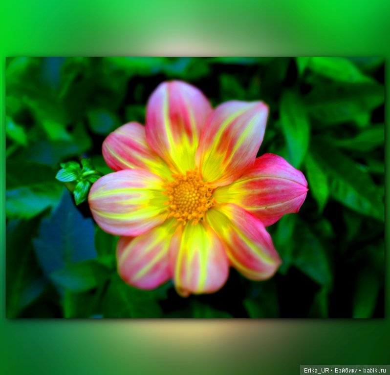 Сопутствующее куклам увлечение, 07.09.2019