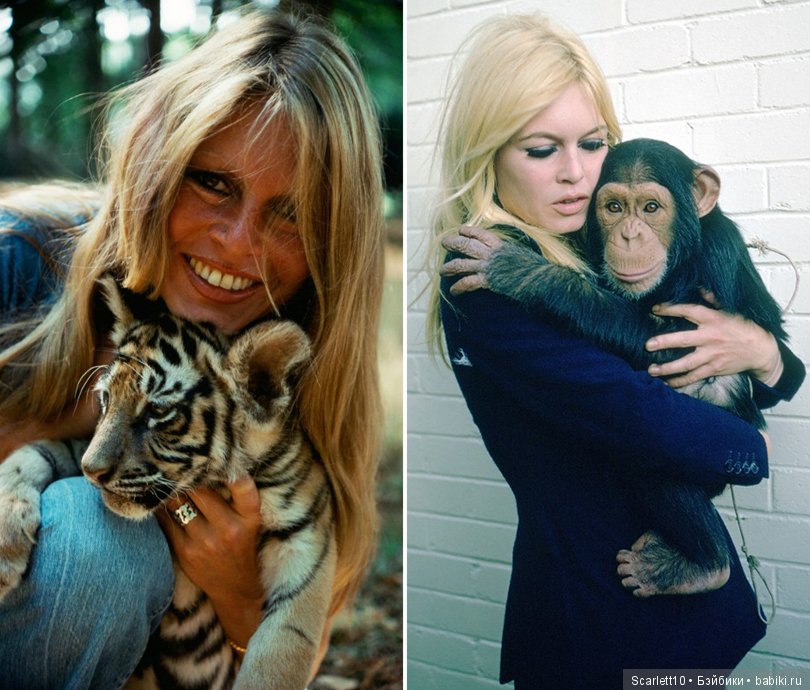 Брижит Бардо - икона стиля 60-х