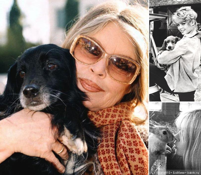 Брижит Бардо - икона стиля 60-х