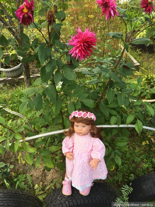 Викуся ходила гулять,отдыхала (фото 5)