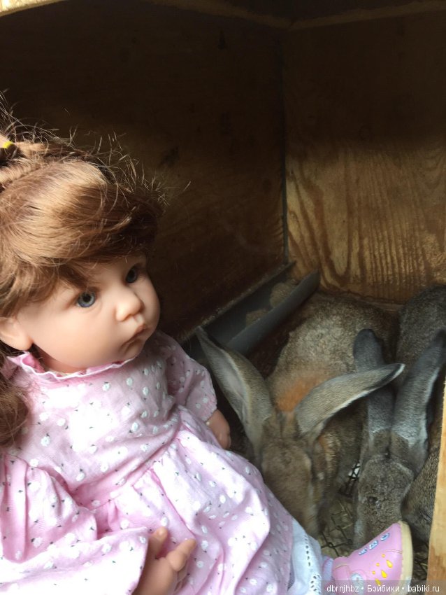 Викуся ходила гулять,отдыхала