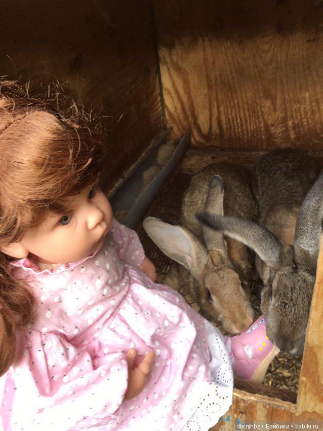 Викуся ходила гулять,отдыхала