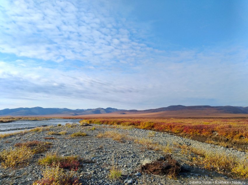 Куда уезжают куклы. Чукотка. Часть 4 (фото 2)