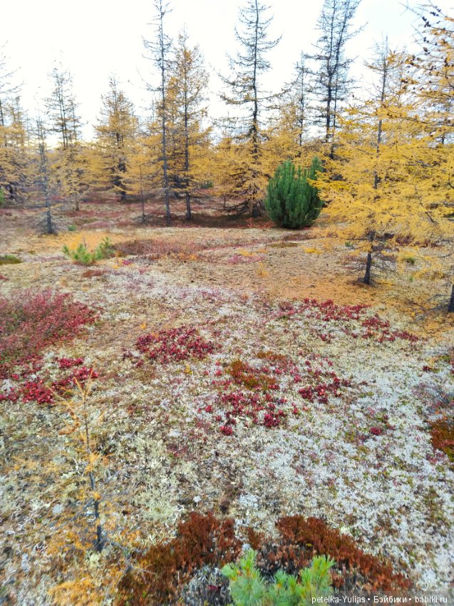 Куда уезжают куклы. Чукотка. Часть 4